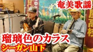 【シマ唄動画紹介】瑠璃色のカラス　シーガン山下　奄美歌謡　ブルース　amami【字幕】