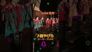 【沖縄居酒屋動画紹介】沖縄の夜はライブ居酒屋【島唄】へ♪