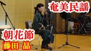 【シマ唄動画紹介】朝花節　藤田晶　奄美民謡　奄美シマ唄　amami【字幕】