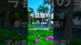 【シマ唄動画紹介】奄美を題材にしたオリジナル曲！見たら幸せになると話題中！フルソングを是非！チャンネルでお楽しみ下さい！☺️#奄美島唄#奄美の島イモーレ#平和の心チャンネル#島唄