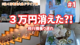 【奄美居酒屋動画紹介】【波乱の幕開け】飛行機に乗れなかった奄美３泊４日の旅