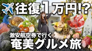 【奄美居酒屋動画紹介】【衝撃】冬の奄美大島、航空券1万円って本当⁉️浮いたお金をグルメに全力投資した2泊3日😋🌴
