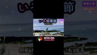 【シマ唄動画紹介】いそ加那節·奄美の民謡·Japanese Song·三味線を弾いて唄う·Shorts·No530·1787曲目· #music #奄美 #奄美民謡 #三味線