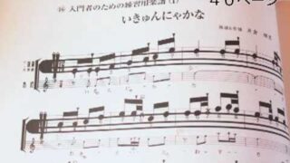 【シマ唄動画紹介】奄美民謡島唄集　入門いきゅんにゃかな