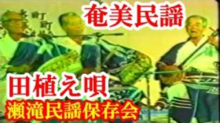【シマ唄動画紹介】田植え唄　瀬滝民謡保存会　奄美民謡　徳之島シマ唄　amami【字幕】