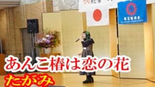 【シマ唄動画紹介】あんこ椿は恋の花　たがみ　歌謡　amami【字幕】