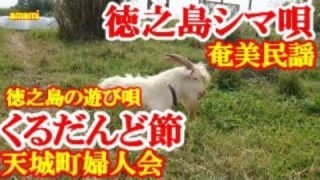 【シマ唄動画紹介】徳之島天城の「くるだんど節」　奄美民謡　徳之島シマ唄　amami【字幕】