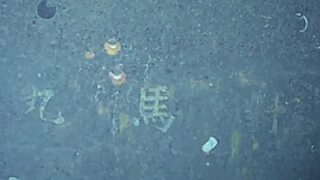 【シマ唄動画紹介】【疎開船 対馬丸　沖縄戦】対馬丸の子守唄　奄美大島 沖縄  島唄 オールディーズ
