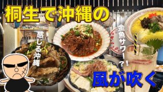 【沖縄居酒屋動画紹介】【沖縄💚】金魚サワー？🐟珍しい🤤沖縄料理が楽しめお店🌊沖縄料理以外もどれも旨すぎる😉