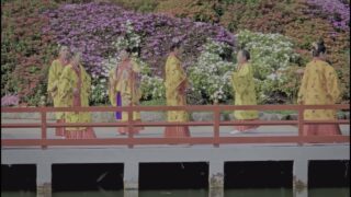 【シマ唄動画紹介】【黄金の花】喜納昌吉　カバー曲　歌ってみた！　奄美大島 沖縄 シマ唄 島唄 オールディーズ
