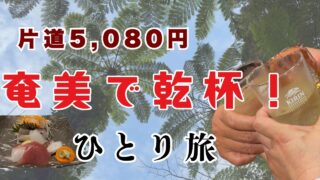 【シマ唄動画紹介】【奄美】島唄で踊った夜。片道5,080円でふらふらと奄美へ。