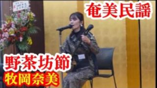 【シマ唄動画紹介】野茶坊節　牧岡奈美　奄美民謡　奄美シマ唄　amami【字幕】