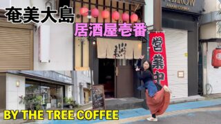 【奄美居酒屋動画紹介】[奄美大島]居酒屋壱番さんへ行ってきました。ランチメニューも居酒屋メニューも豊富でした。コーヒーはBY THS TREE COFFEEさんへ行ってきました。どちらもお勧めです
