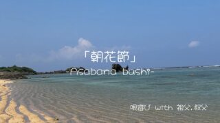 【シマ唄動画紹介】三世代で唄遊び「朝花節」“Sanshin across three generations”