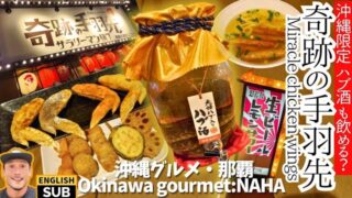 【沖縄居酒屋動画紹介】【沖縄グルメ】那覇ゆいレール美栄橋駅の居酒屋で手羽先とハブ酒/okinawa naha gourmet izakaya chicken wings habu sake dinner