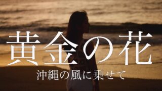 【シマ唄動画紹介】【黄金の花　ネーネーズ】カバー曲　by 結衣　奄美大島 沖縄 シマ唄 島唄 オールディーズ