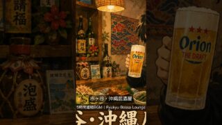 【沖縄居酒屋動画紹介】市ヶ谷・沖縄居酒屋｜Ryukyu Bossa Lounge｜店舗BGM #shorts