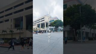 【沖縄居酒屋動画紹介】琉神沖縄の居酒屋。那覇、おもろまち#居酒屋#沖縄旅行#那覇#那覇ランチ
