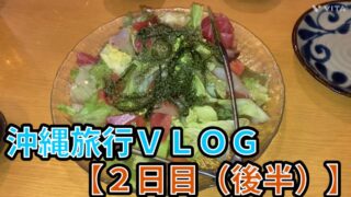 【沖縄居酒屋動画紹介】【沖縄旅行２日目-後半】 海鮮居酒屋で沖縄のお魚を堪能 〜沖縄郷土料理も満喫〜
