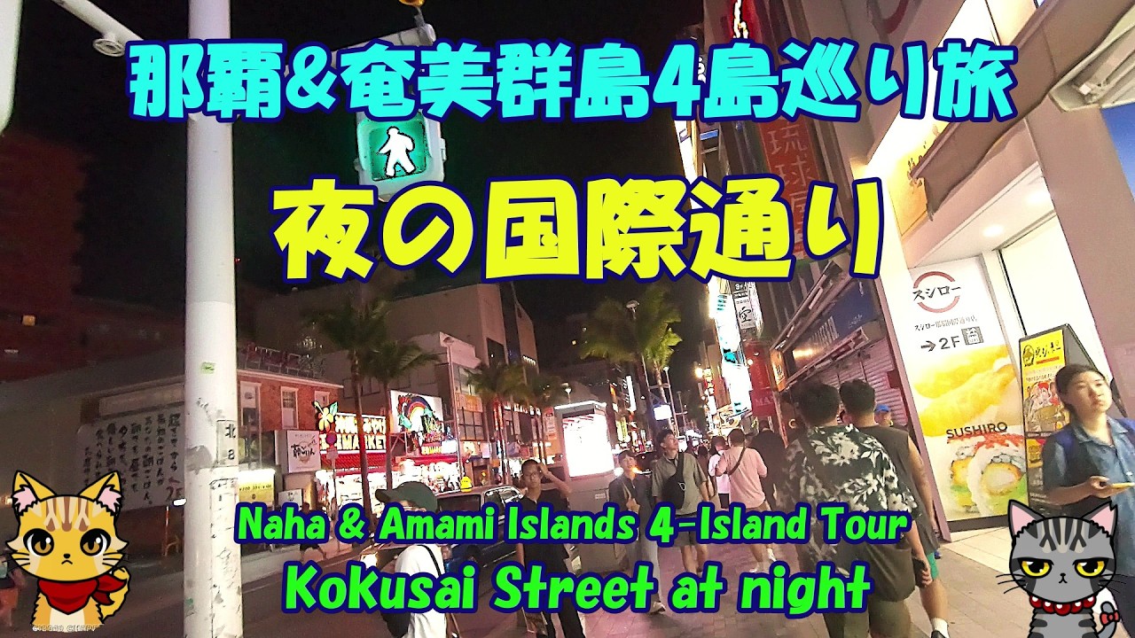 【シマ唄動画紹介】那覇&奄美群島4島巡り旅★夜の国際通り・Naha & Amami Islands 4-Island Tour★Kokusai Street at night