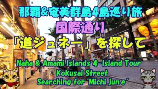 【シマ唄動画紹介】那覇&奄美群島4島巡り旅★「道ジュネ―」を探して★島唄ライブ★エイサーショー・Naha & Amami Islands 4-Island Tour★Searching for “Michi junē”