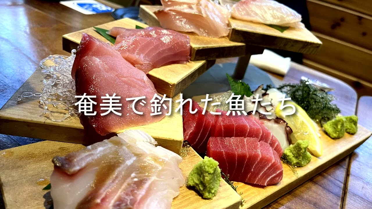 【奄美居酒屋動画紹介】奄美さんぽ　奄美水産海鮮５８へ行ってみました