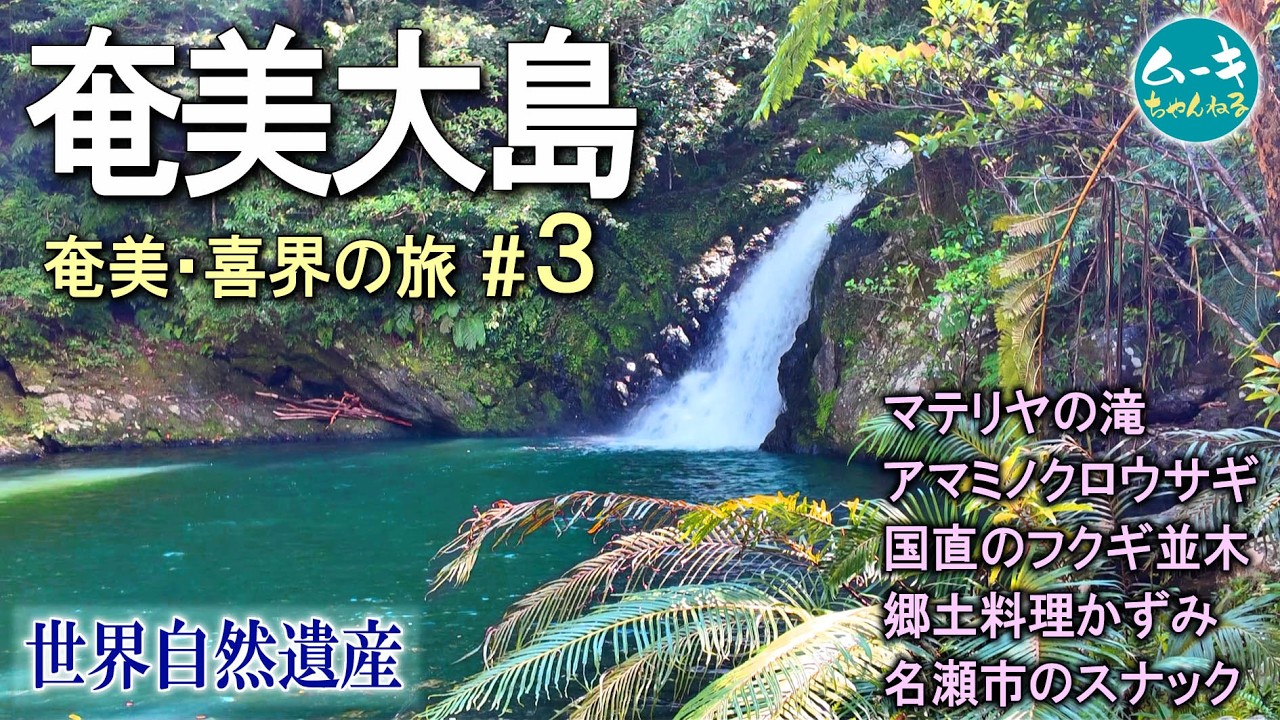【シマ唄動画紹介】奄美・喜界の旅＃３ やっぱ奄美は最高～！世界自然遺産 2026.7