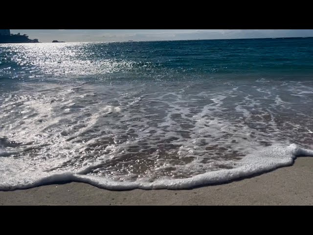 【シマ唄動画紹介】白波にのせて、諸鈍長浜節を唄ってみた